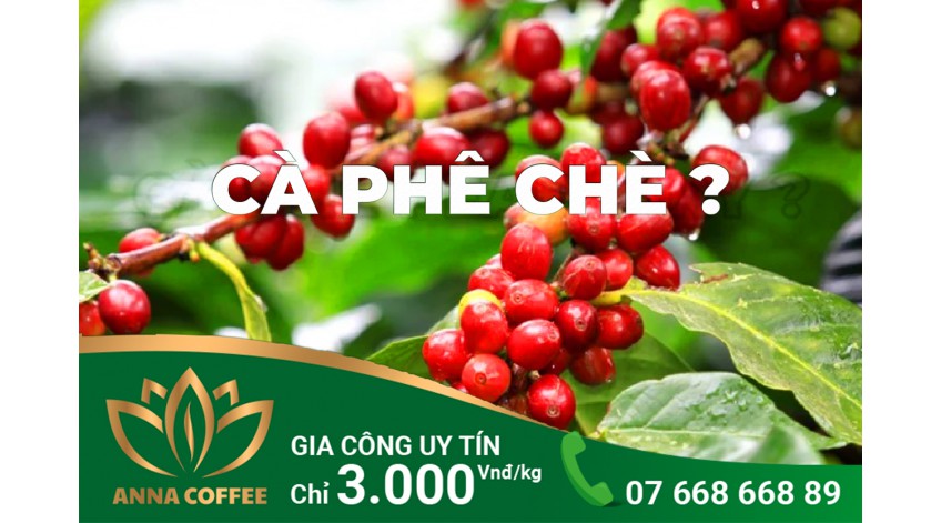 BẠN ĐÃ TỪNG NGHE QUA CÀ PHÊ CHÈ?